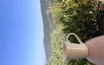 Photos éffectuées par les clients de Orangerie degli Ulivi