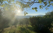 Photos éffectuées par les clients de Il Circolo