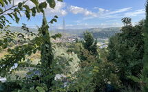 Photos éffectuées par les clients de La Rosa