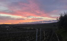 Photos éffectuées par les clients de Brunello