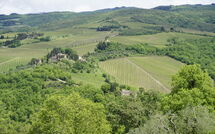 Photos éffectuées par les clients de Camporempoli