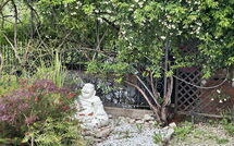 Photos éffectuées par les clients de Villa Ancora