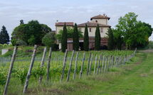 Photos éffectuées par les clients de Tavarnelle Val di Pesa 617