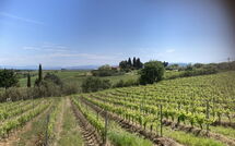 Photos éffectuées par les clients de Tavarnelle Val di Pesa 617