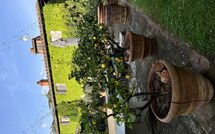 Photos éffectuées par les clients de Podere la Torre