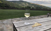 Photos éffectuées par les clients de Tenuta Pomona