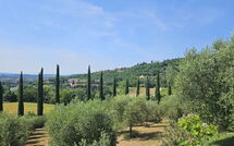 Photos éffectuées par les clients de Tenuta Il Tresto