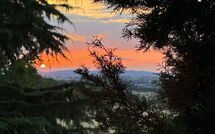 Photos éffectuées par les clients de Villa Camelia