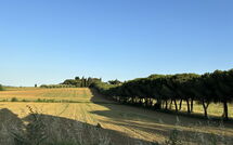 Photos éffectuées par les clients de Villa Camelia