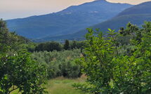 Photos éffectuées par les clients de Casale Fonte