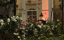 Photos éffectuées par les clients de La Casa dei Limoni, Camaiore, Pet Friendly, Wifi