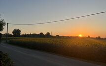 Photos éffectuées par les clients de Villa Cantagallo