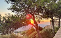 Photos éffectuées par les clients de Podere Santa Lucia