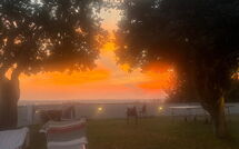 Photos éffectuées par les clients de Massarosa Front Lake, the Gargoyles