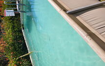 Photos éffectuées par les clients de Villetta Luciana