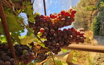 Photos éffectuées par les clients de San Eusebio