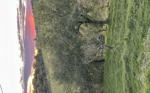 Photos éffectuées par les clients de Sole nel Prato