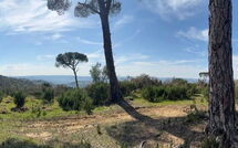 Photos éffectuées par les clients de Dependance di Villa Magna