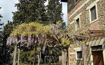 Photos éffectuées par les clients de Policleto