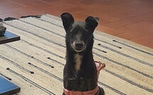 Photos éffectuées par les clients de I Tre Castagni