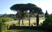 Photos éffectuées par les clients de Villa Clara 20