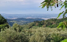 Photos éffectuées par les clients de Florence 646