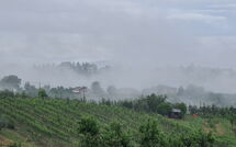 Photos éffectuées par les clients de Pozzo dei Desideri