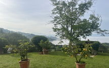 Photos éffectuées par les clients de Villa Flora