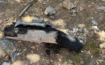 Photos éffectuées par les clients de Von Salis