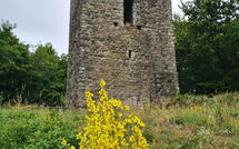 Photos éffectuées par les clients de Villa Rosata