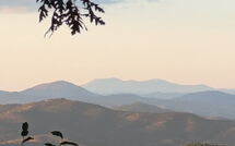 Photos éffectuées par les clients de La Goccia