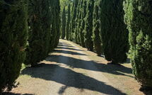 Photos éffectuées par les clients de Podere Valcellino