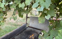 Photos éffectuées par les clients de Podere Valcellino