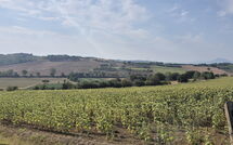 Photos éffectuées par les clients de Fattoria le Chianacce