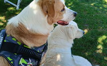 Photos éffectuées par les clients de Villa Mira