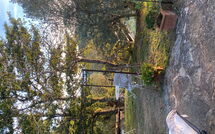 Photos éffectuées par les clients de La Casina del Bosco