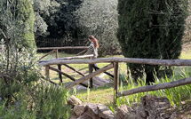 Photos éffectuées par les clients de La Sorgente