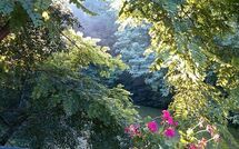 Photos éffectuées par les clients de Podere Il Doccio