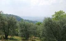 Photos éffectuées par les clients de San Romolo