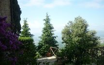 Photos éffectuées par les clients de La Capraia