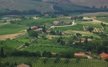 Photos éffectuées par les clients de Podere la Marronaia
