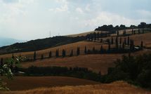 Photos éffectuées par les clients de Podere la Marronaia