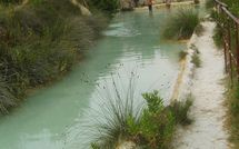 Photos éffectuées par les clients de Podere la Marronaia