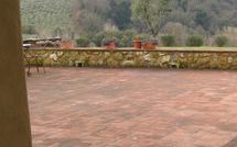 Photos éffectuées par les clients de Podere la Marronaia