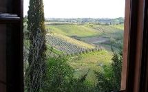 Photos éffectuées par les clients de Certaldo