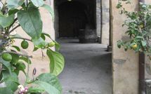 Photos éffectuées par les clients de Podere Centone