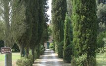 Photos éffectuées par les clients de Villa Fontine