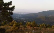 Photos éffectuées par les clients de Flavia