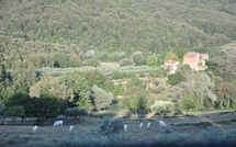 Photos éffectuées par les clients de Montescalari