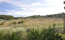 Photos éffectuées par les clients de Montescalari